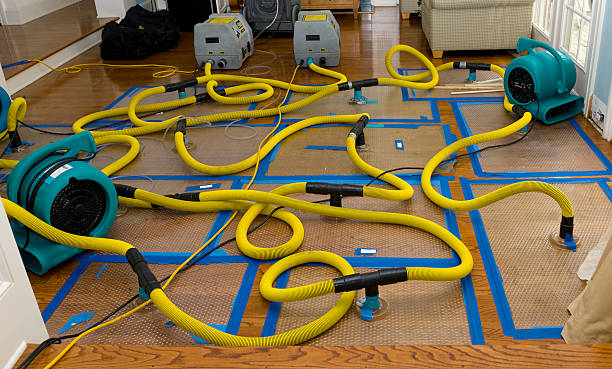 Professional Structural Drying And Dehumidification technician working in Ardsley On Hudson, NY